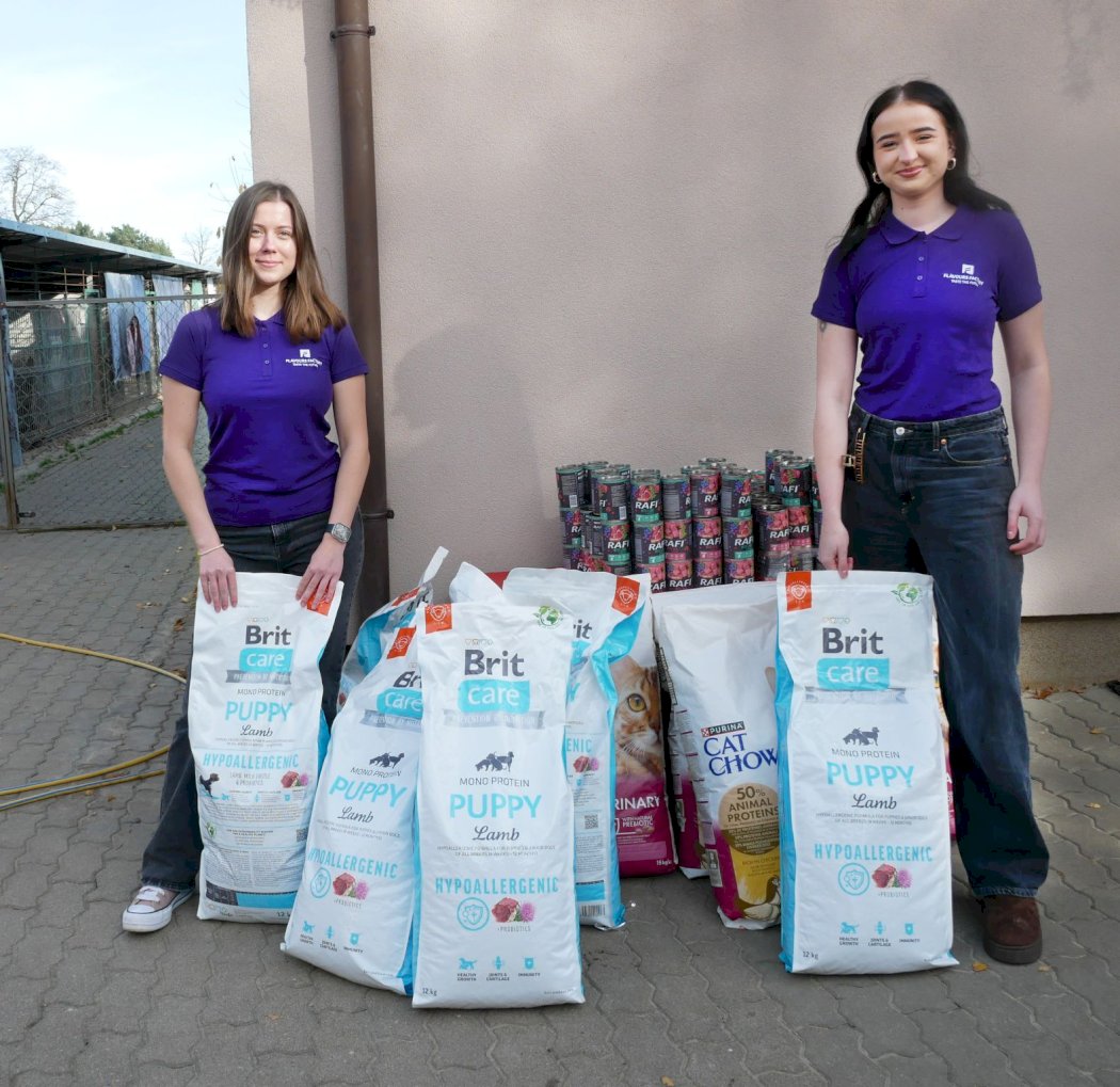 🐕 Pełne miski dla podopiecznych Fundacji Znajdki #1