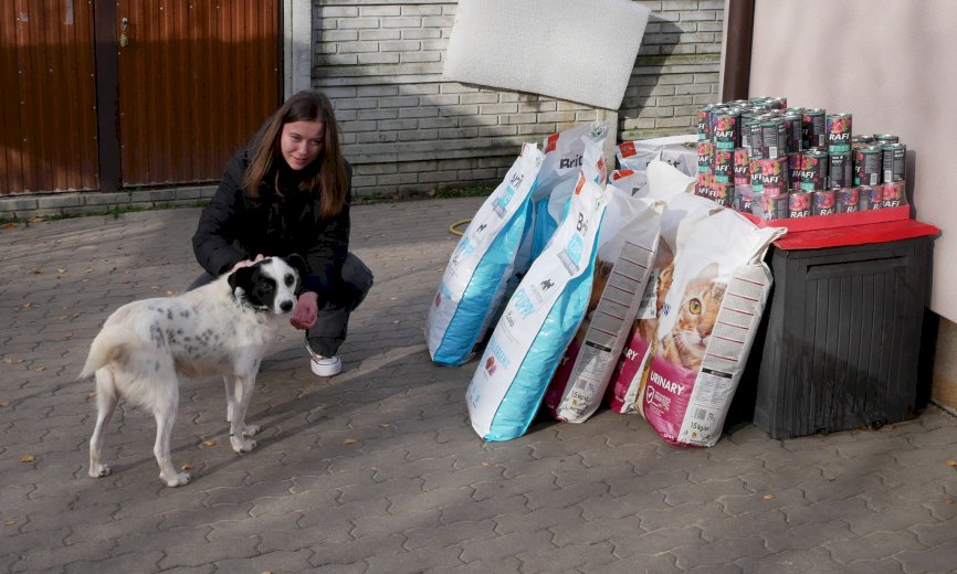 🐕 Pełne miski dla podopiecznych Fundacji Znajdki #2