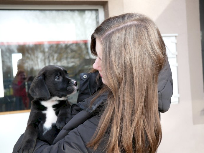 🐕 Pełne miski dla podopiecznych Fundacji Znajdki #3