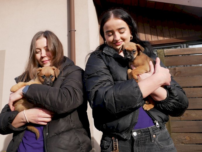 🐕 Pełne miski dla podopiecznych Fundacji Znajdki #6