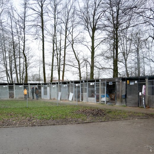 🐕Małe gesty, wielka pomoc - grudniowa wizyta, która ogrzała niejedno psie serce 🐾 #7