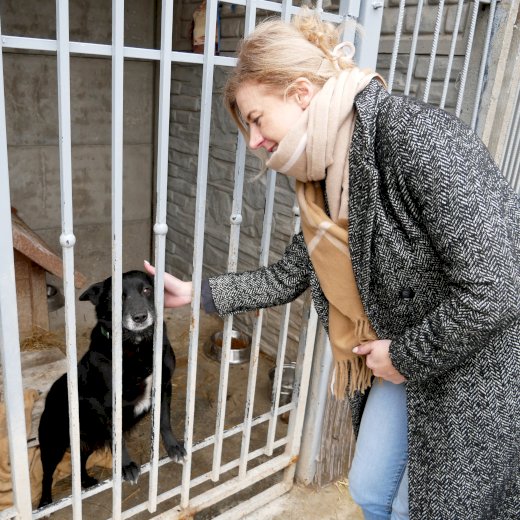 🐕Małe gesty, wielka pomoc - grudniowa wizyta, która ogrzała niejedno psie serce 🐾 #4