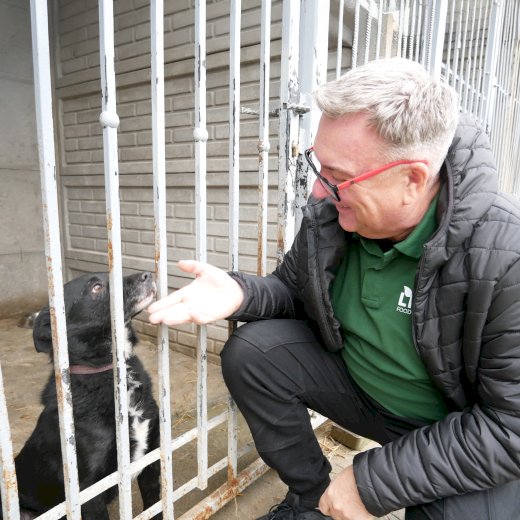 🐕Małe gesty, wielka pomoc - grudniowa wizyta, która ogrzała niejedno psie serce 🐾 #2